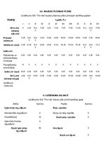 Biznesa plāns 'Biznesa plāns SIA"The Hat"', 13.