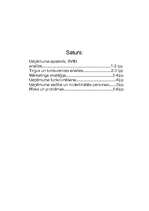 Biznesa plāns 'I/U "E-Caffe"', 2.