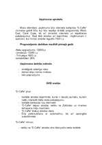 Biznesa plāns 'I/U "E-Caffe"', 3.