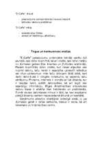 Biznesa plāns 'I/U "E-Caffe"', 4.