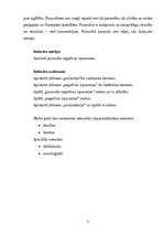 Referāts 'Pusaudžu negatīvas izpausmes', 2.