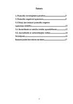 Referāts 'Pusaudžu negatīvas izpausmes', 3.