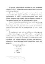 Referāts 'Pusaudžu negatīvas izpausmes', 6.