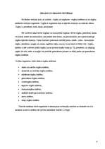 Referāts 'Vispārējās ziņas par cilvēka ķermeni', 4.