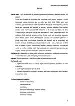 Referāts 'Papīra iepakojums kā alternatīva plastmasas maisiņiem - nākotnes realitāte vai u', 3.