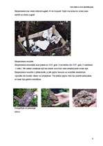 Referāts 'Papīra iepakojums kā alternatīva plastmasas maisiņiem - nākotnes realitāte vai u', 9.