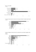 Biznesa plāns 'Mārketinga plāns jaunam zīmolam', 31.