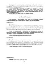 Referāts 'Auras un čakras', 8.