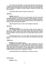 Referāts 'Auras un čakras', 9.