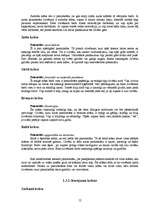 Referāts 'Auras un čakras', 10.