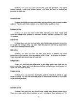 Referāts 'Auras un čakras', 11.