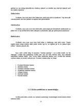 Referāts 'Auras un čakras', 12.