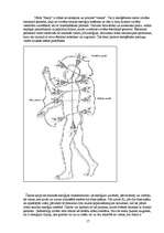 Referāts 'Auras un čakras', 15.