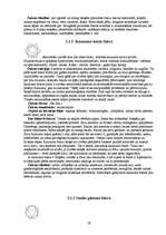 Referāts 'Auras un čakras', 17.