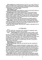 Referāts 'Auras un čakras', 19.