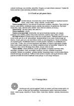 Referāts 'Auras un čakras', 20.