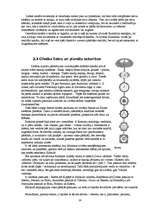 Referāts 'Auras un čakras', 22.