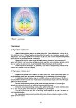 Referāts 'Auras un čakras', 28.