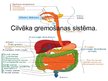 Prezentācija 'Cilvēka gremošanas sistēma', 1.