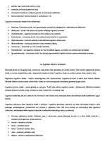 Konspekts 'Logistikos samprata', 3.