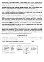 Konspekts 'Logistikos samprata', 6.