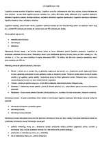 Konspekts 'Logistikos samprata', 7.