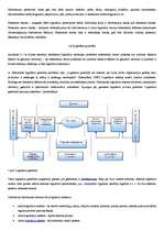 Konspekts 'Logistikos samprata', 8.