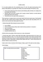 Konspekts 'Logistikos samprata', 12.