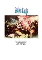 Referāts 'Saules kauja', 1.