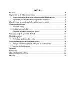 Referāts 'Florbola spēlētāju agresivitātes izpausmes un cēloņi sacensību laikā', 3.