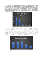 Referāts 'Florbola spēlētāju agresivitātes izpausmes un cēloņi sacensību laikā', 17.