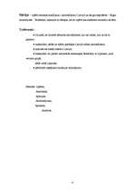 Referāts 'Etniskie konflikti Latvijā - piemērs Bolderājā', 4.