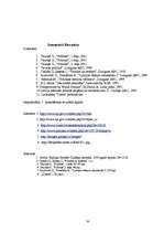 Referāts 'Etniskie konflikti Latvijā - piemērs Bolderājā', 30.