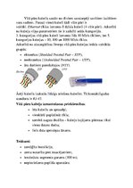 Referāts 'Lokālie datoru tīkli', 4.