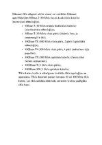 Referāts 'Lokālie datoru tīkli', 7.