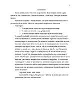 Referāts 'Kā veicināt Talsu jauniešu atturību no alkohola lietošanas', 3.