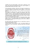 Prezentācija 'Mutes dobuma un zobu higiēnas nozīme jauniešu dzīvē', 6.