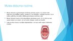 Prezentācija 'Mutes dobuma un zobu higiēnas nozīme jauniešu dzīvē', 20.