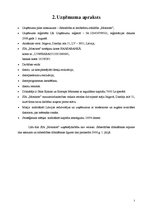 Biznesa plāns 'Biznesa plāns SIA "Monitors"', 5.