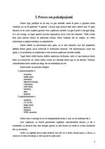 Biznesa plāns 'Biznesa plāns SIA "Monitors"', 6.