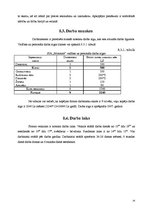 Biznesa plāns 'Biznesa plāns SIA "Monitors"', 14.