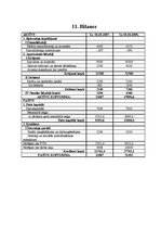 Biznesa plāns 'Biznesa plāns SIA "Monitors"', 18.