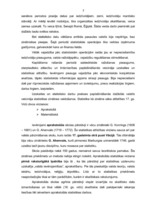 Referāts 'Statistisko datu vākšana, apstrāde un analīze. To pielietošana ekonomikas uzdevu', 7.