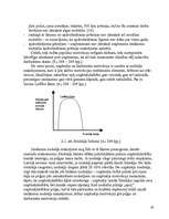 Referāts 'Nodokļu politika un tās ietekme uz uzņēmējdarbību', 19.
