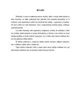 Referāts 'Vadības teorija', 1.