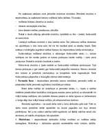 Referāts 'Vadības teorija', 4.