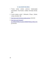 Referāts 'Uzņēmuma SIA "X" finanšu analīze', 28.