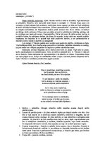 Eseja 'Dzejoļa krājuma "Zibens pareizrakstība" analīze', 2.