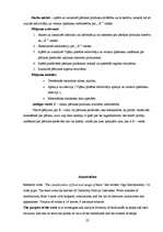 Referāts 'E - vielu klasifikācija, to lietošana uzturā', 22.