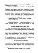 Referāts 'Komerctiesības Austrijā', 7.